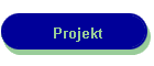 Projekt